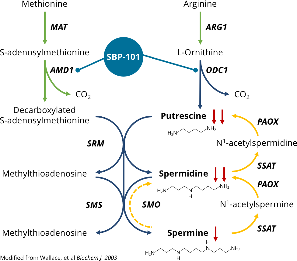 Behentrimonium Methosulfate (B.T.M.S. 50) – The Art Connect