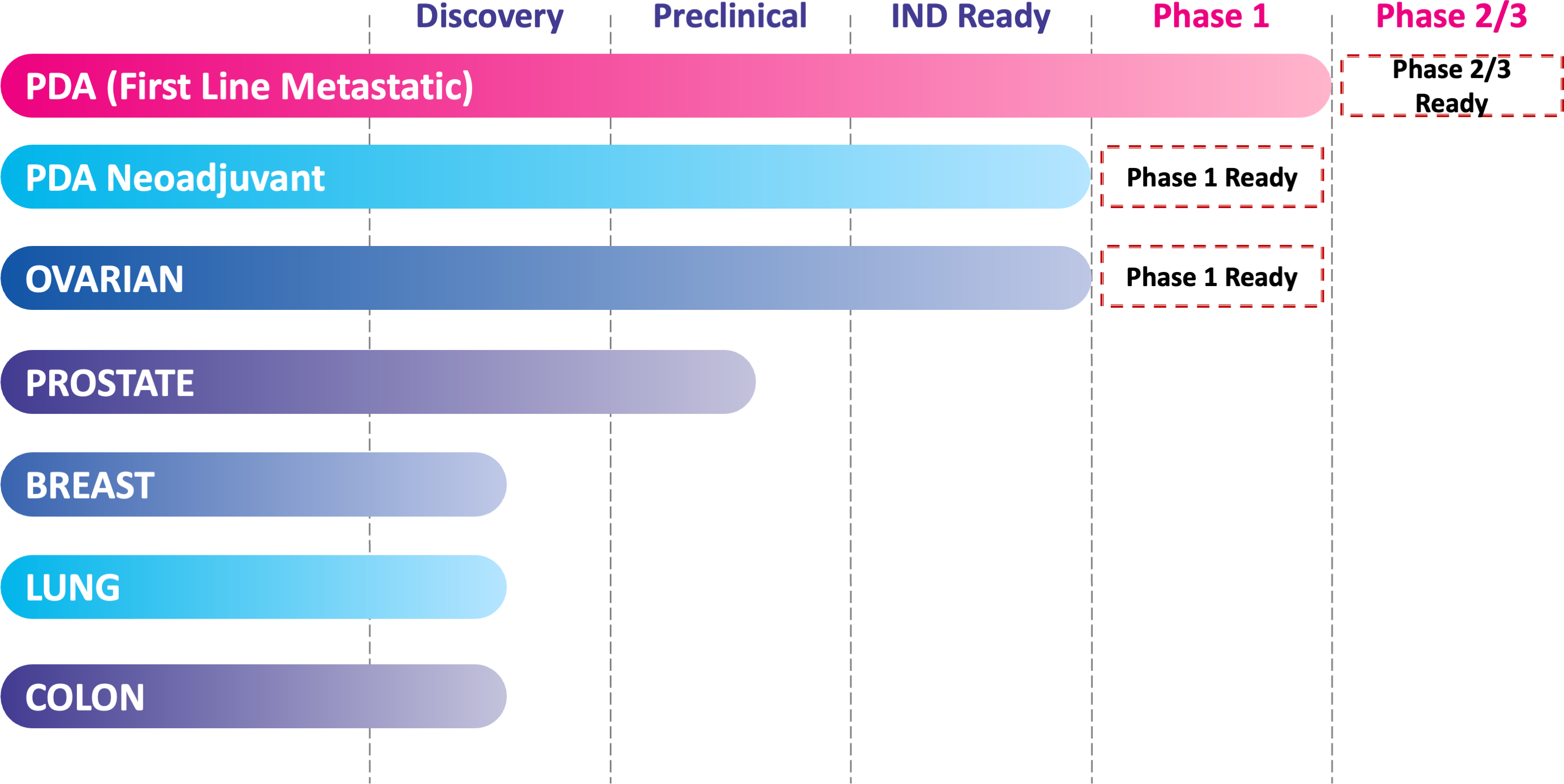 graph showing PDA (First Line Metastatic) as Phase 2/3 ready, PDA Neoadjuvant as Phase 1 ready, Ovarian as Phase 1 ready, Prostate as Preclinical, and Colon, Breast, and Lung as Discovery phase